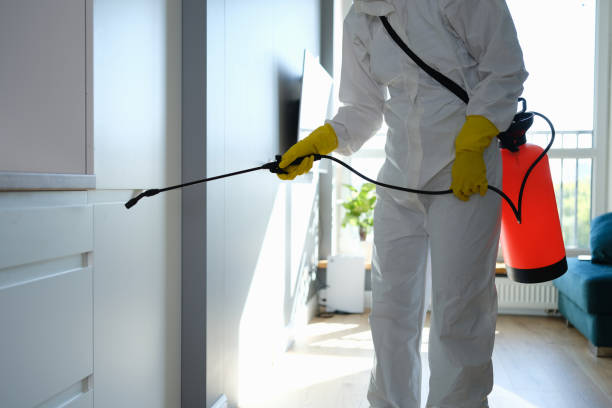 Best Emergency Mold Removal  in Hillview, KY