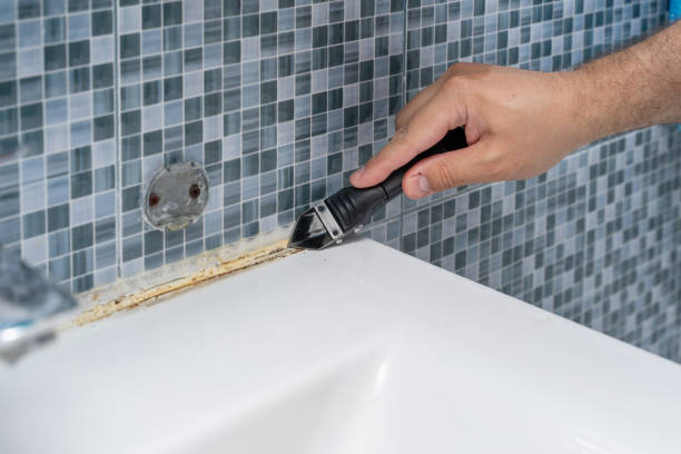 Home Mold Removal in Hillview, KY